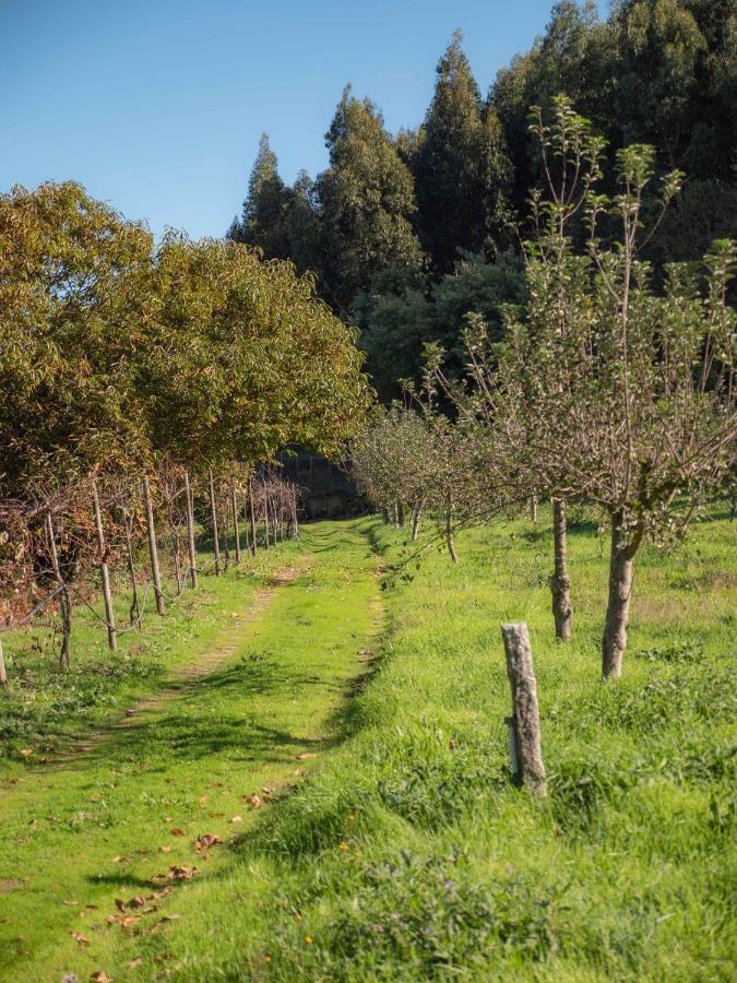Naturena Agro-Turismo Durrães Exteriér fotografie